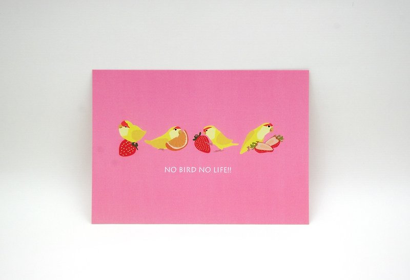 鸚鵡 明信片 (粉紅草莓) - 心意卡/卡片 - 紙 粉紅色