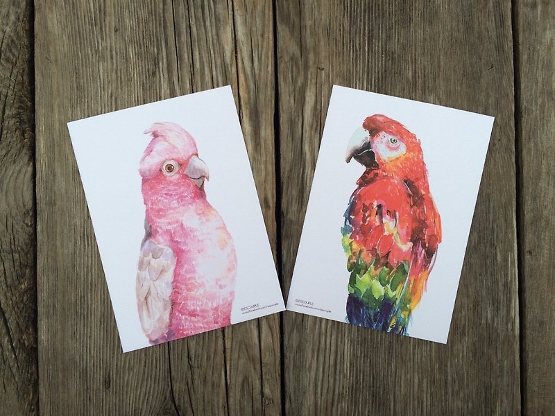 Valentine postcard 2 parrots into - การ์ด/โปสการ์ด - กระดาษ หลากหลายสี