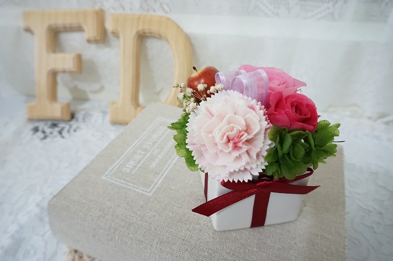 アマランスの星の花-母の日の贈り物2色の花*為替プレゼント*バレンタインデー*結婚式*誕生日プレゼント - 観葉植物 - 寄せ植え・花 ピンク