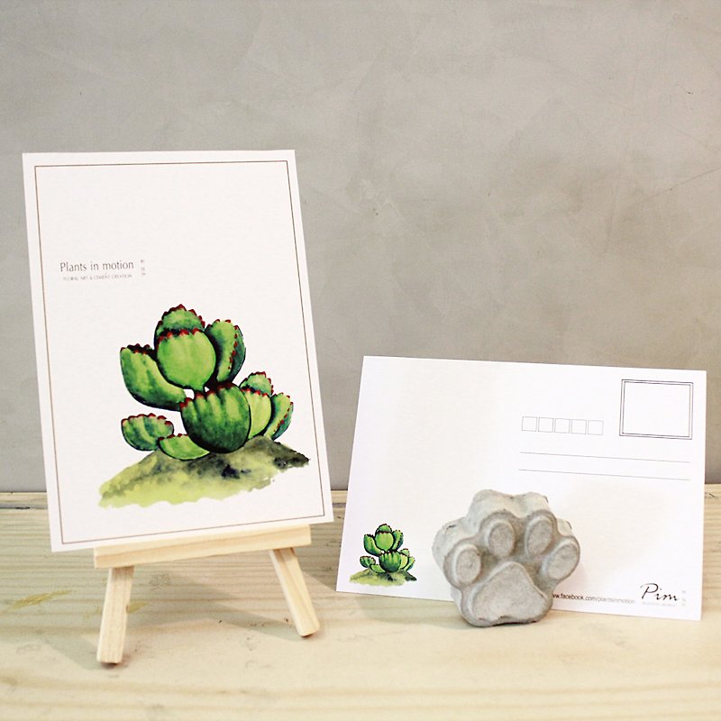 Succulents/Postcards/Bear Boy - การ์ด/โปสการ์ด - กระดาษ ขาว