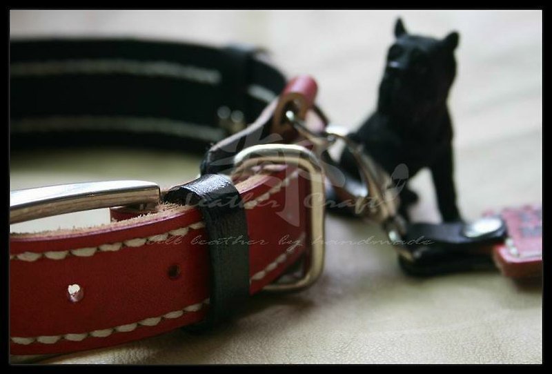 An 8-point collar for a baby dog. - Leather Goods - Genuine Leather 