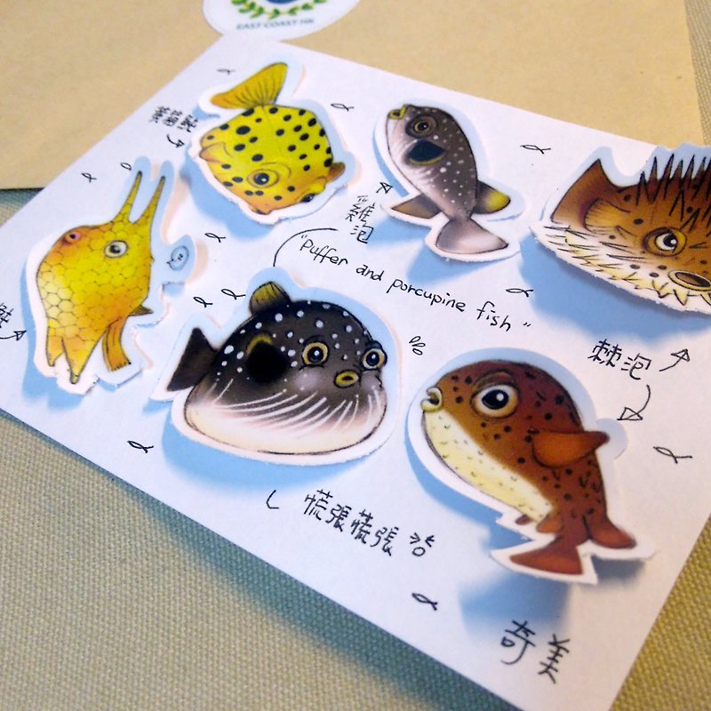 紙 貼紙 - 雞泡魚和棘泡魚海洋朋友防水貼紙