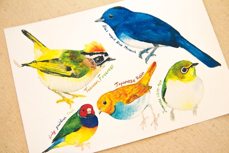 Birds hand-painted watercolor postcards C - Cards & Postcards - Paper 