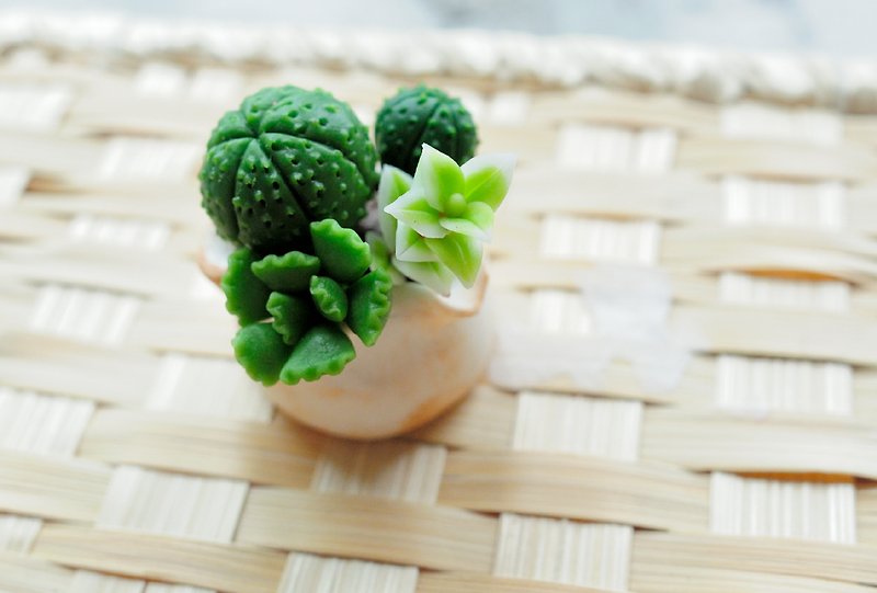 Sweet Dream☆Mini Clay Bionic Succulent Plant Combination Small Pot A - Other - Clay Green