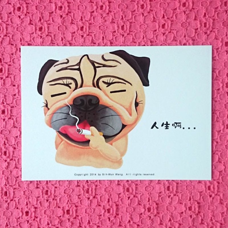 Pug Postcard-This is the life! - Cards & Postcards - Paper White