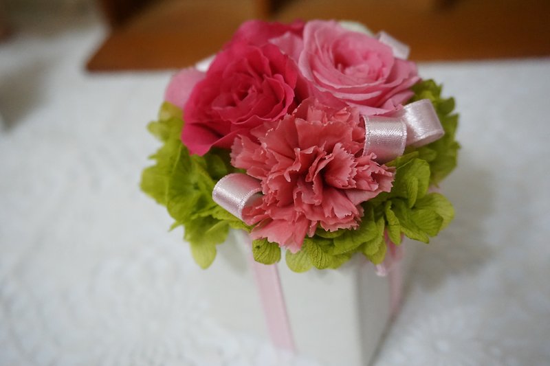 アマランス-かわいい植物*為替贈り物*バレンタインデー*結婚式*誕生日プレゼント - 観葉植物 - 寄せ植え・花 ピンク