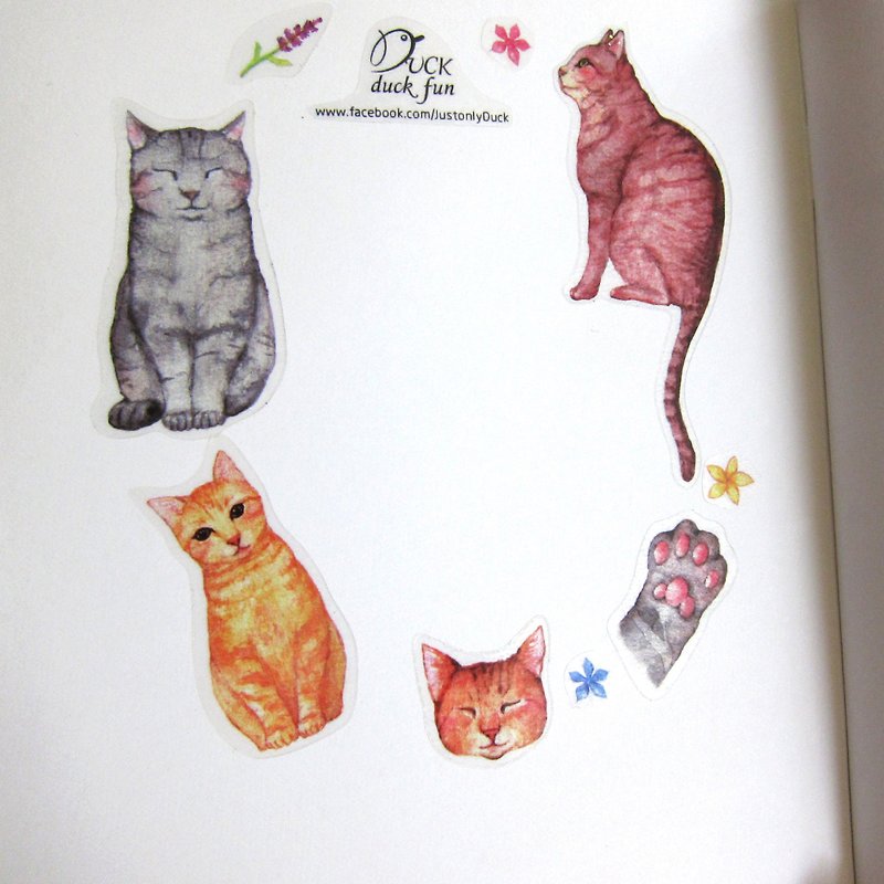 Sticker tabby cat - สติกเกอร์ - กระดาษ สีส้ม