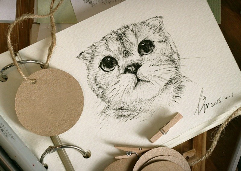 Spinning Cat "on behalf of the stylus" 4 "× 6" Pet Portraits - Single - ภาพวาดบุคคล - กระดาษ หลากหลายสี