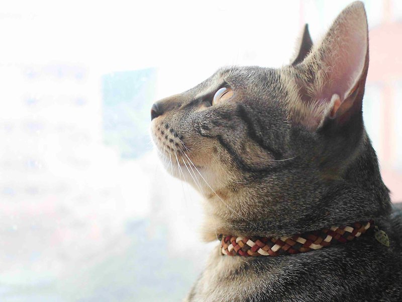 smooch necklace-- Korean synthetic leather 【stray animal donation program】 - Collars & Leashes - Genuine Leather Multicolor
