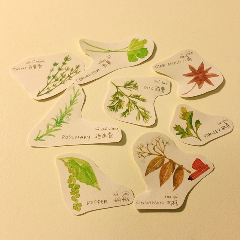 Spices illustrations stickers -Flavors - สติกเกอร์ - กระดาษ 