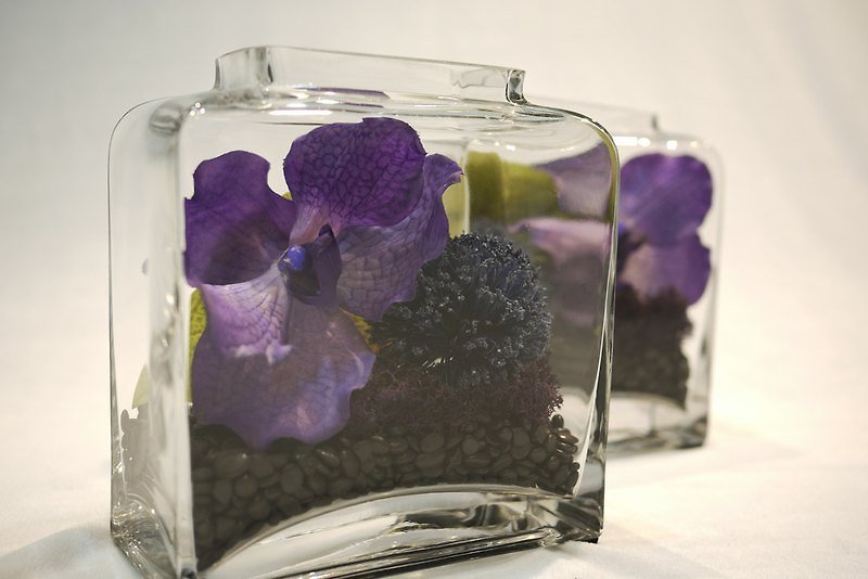 玻璃系浪漫紫 - 観葉植物 - ガラス 