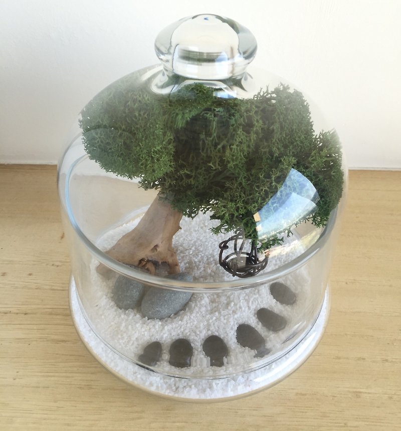 ［純自然］ diy組 瓶中樹 漂流木 小樹 玻璃鐘 盆栽 植物 送禮 療癒 小物 tree potted - 擺飾/家飾品 - 植物．花 綠色