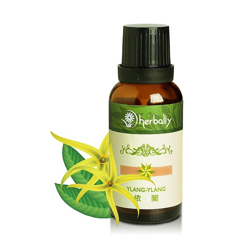 [Herbal True Feelings] Ylang-Ylang (Single Essential Oil 30ml) (P3971947) - Fragrances - Plants & Flowers Green