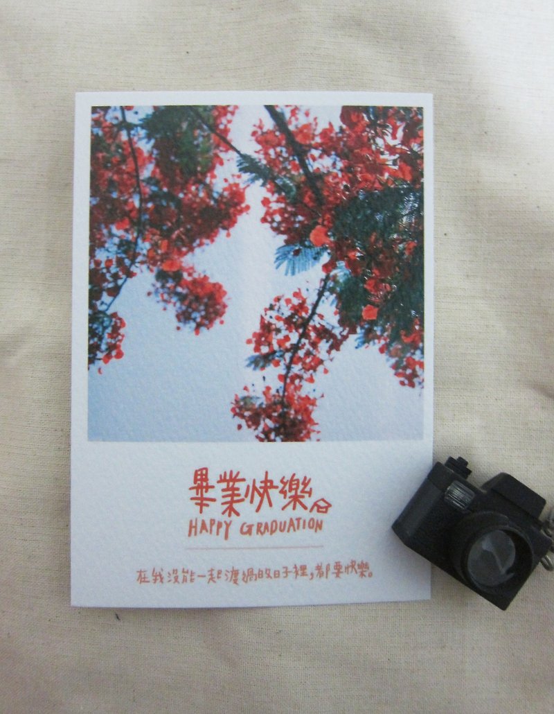 畢業快樂 /Magai's postcard - 卡片/明信片 - 紙 紅色