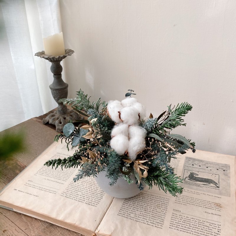 Christmas Preserved Flower Pot Flower Preserved Cedar - Plants - Plants & Flowers White