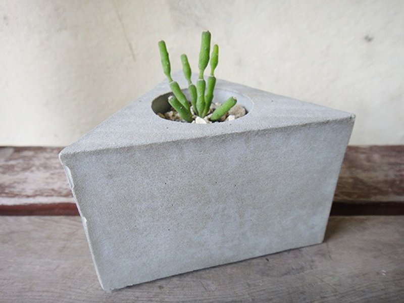 Triangle stone-cement basin is potted planting potted reed ape Love - ตกแต่งต้นไม้ - พืช/ดอกไม้ สีเขียว