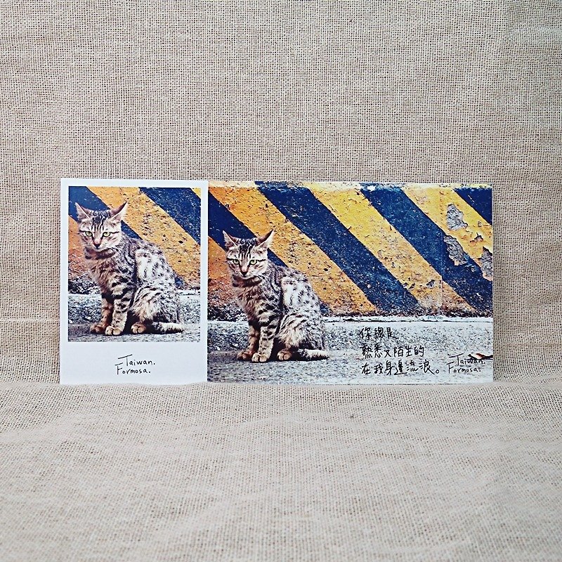 [Stub postcard] - stray - cat slave recommended - Cards & Postcards - Paper Gold