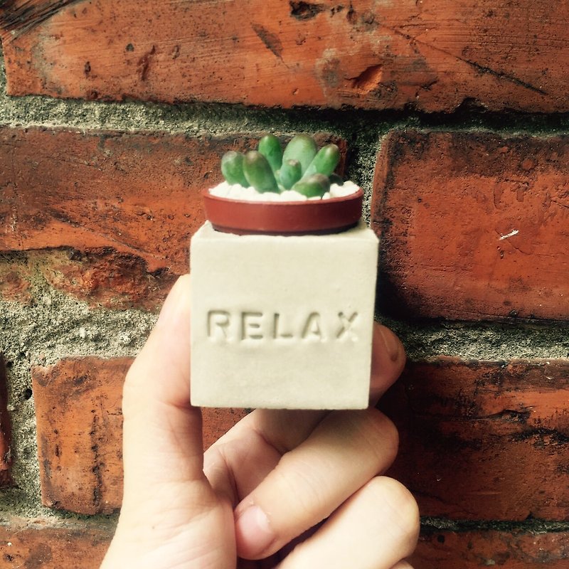 Relax!! Magnet Potted Plant - Plants - Cement Gray