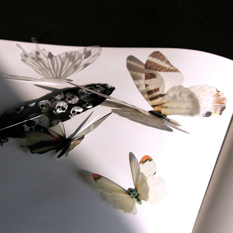 iINDOORS 3D夢幻蝴蝶 白色 18入/組 立體壁飾 壁貼 婚禮小物 - 壁貼/牆壁裝飾 - 塑膠 白色