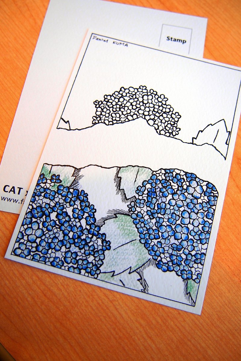 Postcard - Ziyang - การ์ด/โปสการ์ด - กระดาษ สีน้ำเงิน