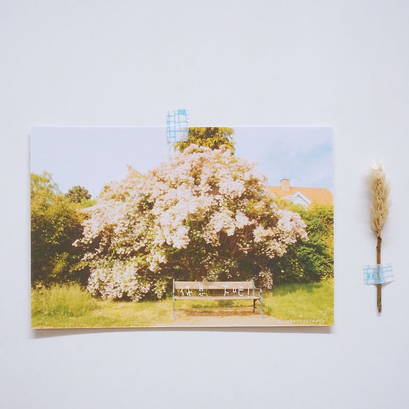 Take a break! postcard - การ์ด/โปสการ์ด - กระดาษ สีเขียว