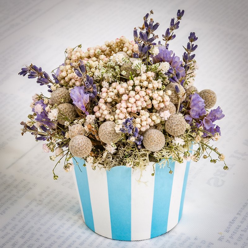 近畿の手私は南フランスのプロヴァンスの考えとしてあなたのケーキのデザートの花の鉢植えの花小さな鉢植え - 観葉植物 - 寄せ植え・花 
