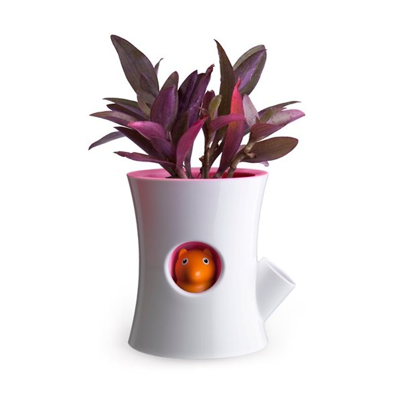 QUALY リス植木鉢（ホワイトチューブ） - 観葉植物 - プラスチック ホワイト