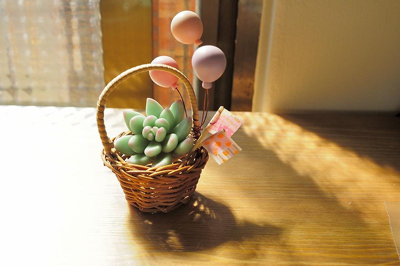 Sweet Dream:黏土仿生多肉植物-霜之朝/氣球小提籃