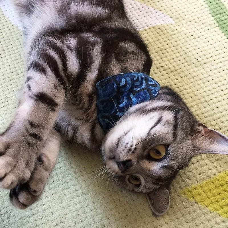 Qinghai Nami-gara Blue cat for bandana-style collar / corner there can (from kitten to adult cats) - ชุดสัตว์เลี้ยง - วัสดุอื่นๆ 