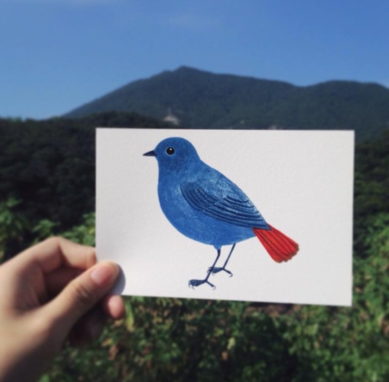 Hong Kong Bird postcard leaden water thrush - การ์ด/โปสการ์ด - กระดาษ สีน้ำเงิน