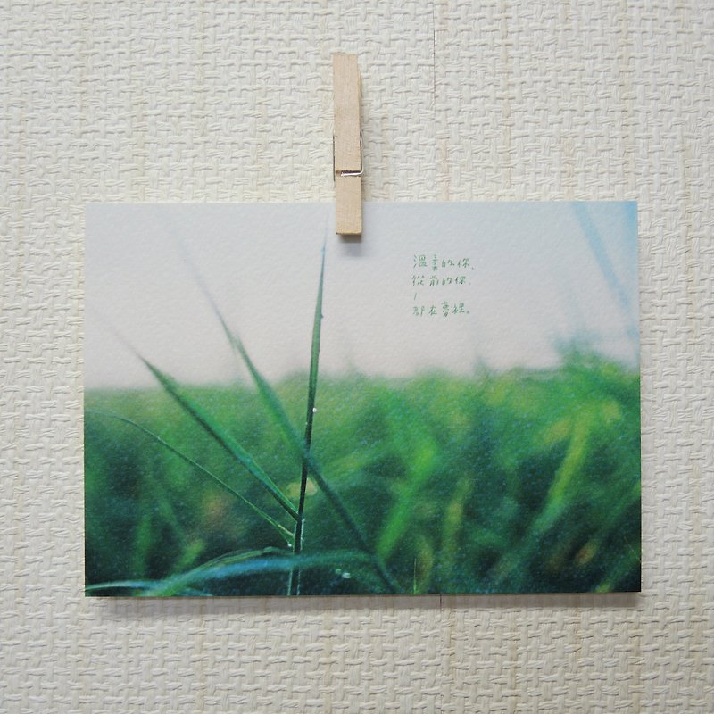都在夢裡/ Magai's postcard - 心意卡/卡片 - 紙 綠色