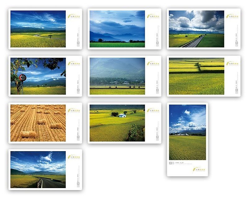 Taiwan rice flavor [Country Series] a full set of postcards (Total 10) - Cards & Postcards - Paper 