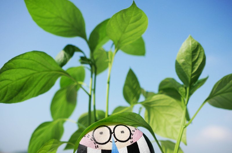 「WoodleBeans 」石頭插畫 - 其他 - 其他材質 多色