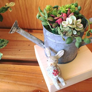 (鉢植え) 庭師の生活のセット 庭師の生活のセット