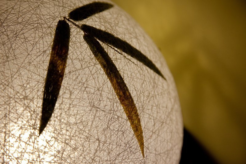 【White bamboo leaves】Hand-woven ball lampshade - โคมไฟ - วัสดุอื่นๆ ขาว