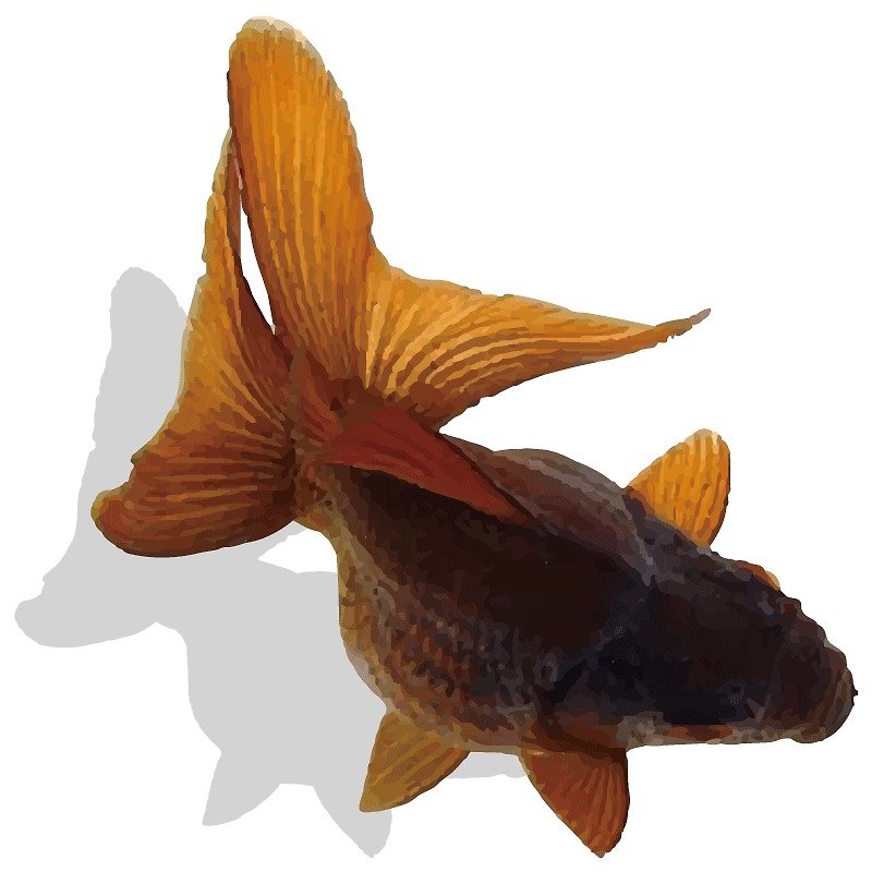 JIELIN壁貼Goldfish(25637) - ตกแต่งผนัง - พลาสติก ขาว