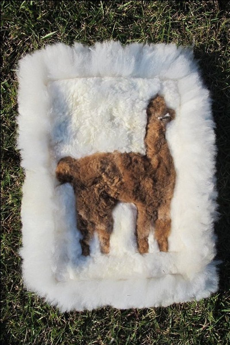 Alpaca 100% 小方形毛料坐墊 掛毯 - 裝飾/擺設  - 其他材質 白色