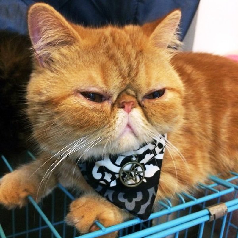Color Totem Pet Triangle Tabby Cat Dog Pet Collar S size - ปลอกคอ - วัสดุอื่นๆ หลากหลายสี