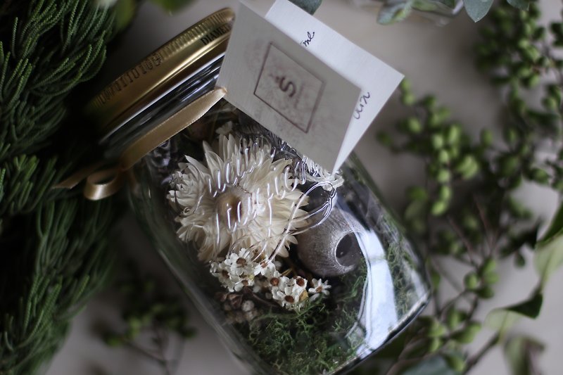 Small forest dry flower glass jar _ not withered flower _ exchange gifts _ party _ customizable - ตกแต่งต้นไม้ - พืช/ดอกไม้ หลากหลายสี
