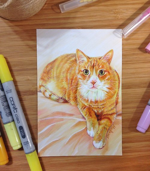 Spinning Cat 【麥克筆】4×6(吋) 寵物肖像-單隻【請先私訊傳照片再下單】