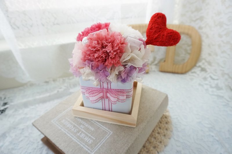 Amaranth - a special Mother's Day carnation flower ceremony - Plants - Plants & Flowers Pink