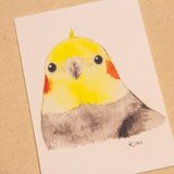 birdink