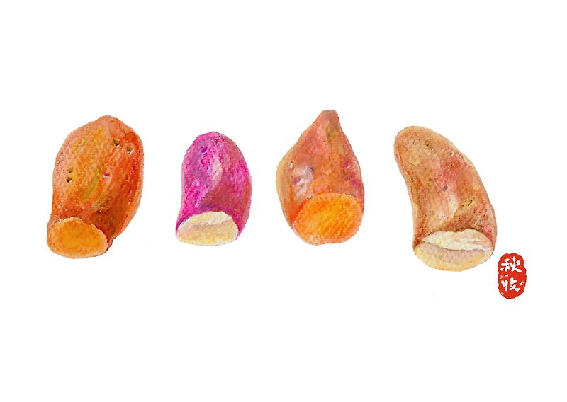 Sweet potatoes postcard season series ◆ Collection - Cards & Postcards - Paper Multicolor