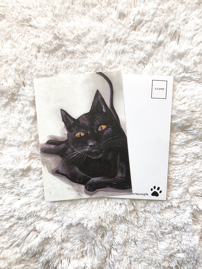 Animal Postcard Mysterious Cat - การ์ด/โปสการ์ด - กระดาษ สีดำ