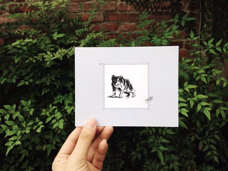 Do what we can do,   Stray Cat: Postcards Cards/ A card= A donation - Cards & Postcards - Paper Gray