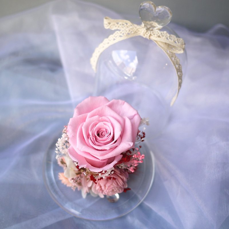 Magic not withered pink rose glass cover immortal flower star flower beauty and the beast Valentine&#39;s Day