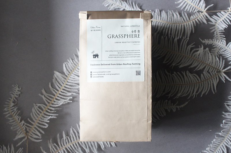 "Grass as" light maintenance vanilla drink │ integrated group, 7 in (1/6 shipping) - Tea - Plants & Flowers Green