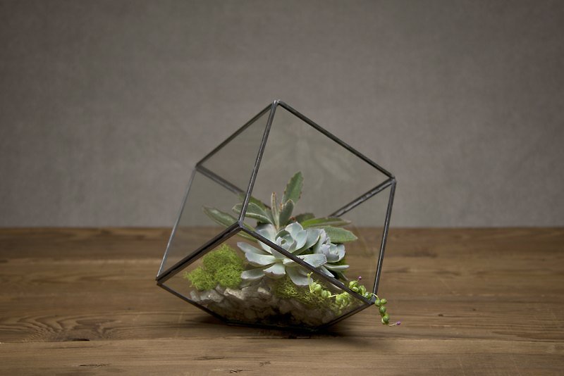 Prime Collection Terrarium Box Mini Glass House - ตกแต่งต้นไม้ - แก้ว สีดำ