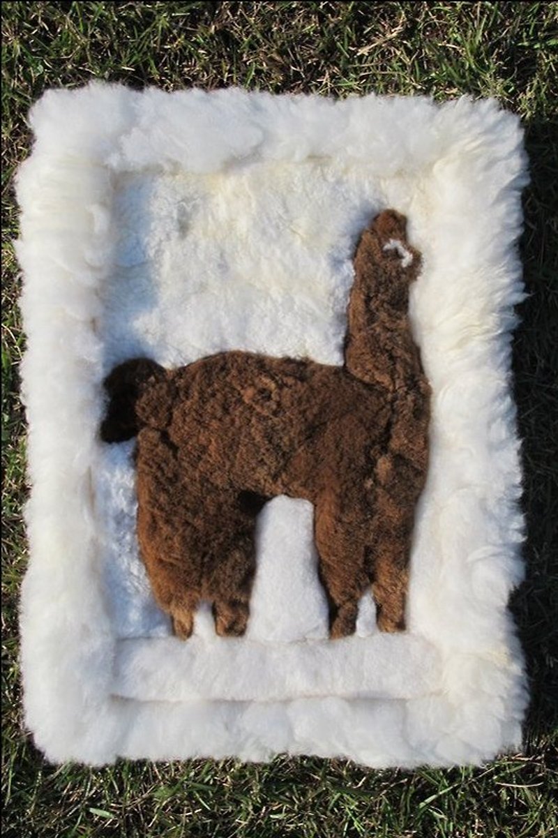Alpaca 100% 小方形毛料坐墊 掛毯 - 裝飾/擺設  - 其他材質 白色