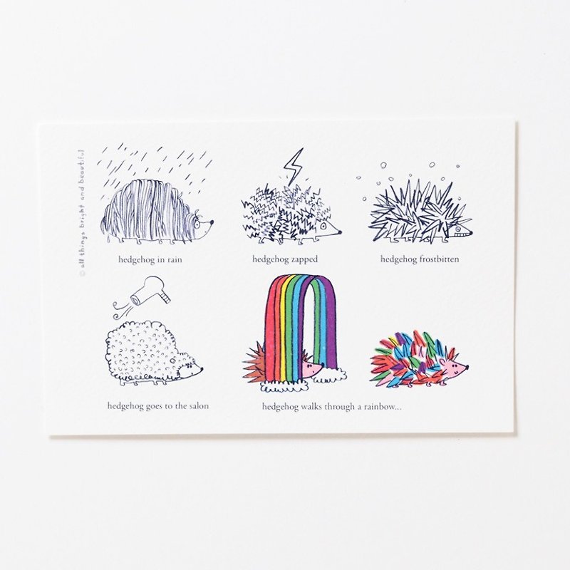 Hedgehog Postcard - การ์ด/โปสการ์ด - กระดาษ หลากหลายสี